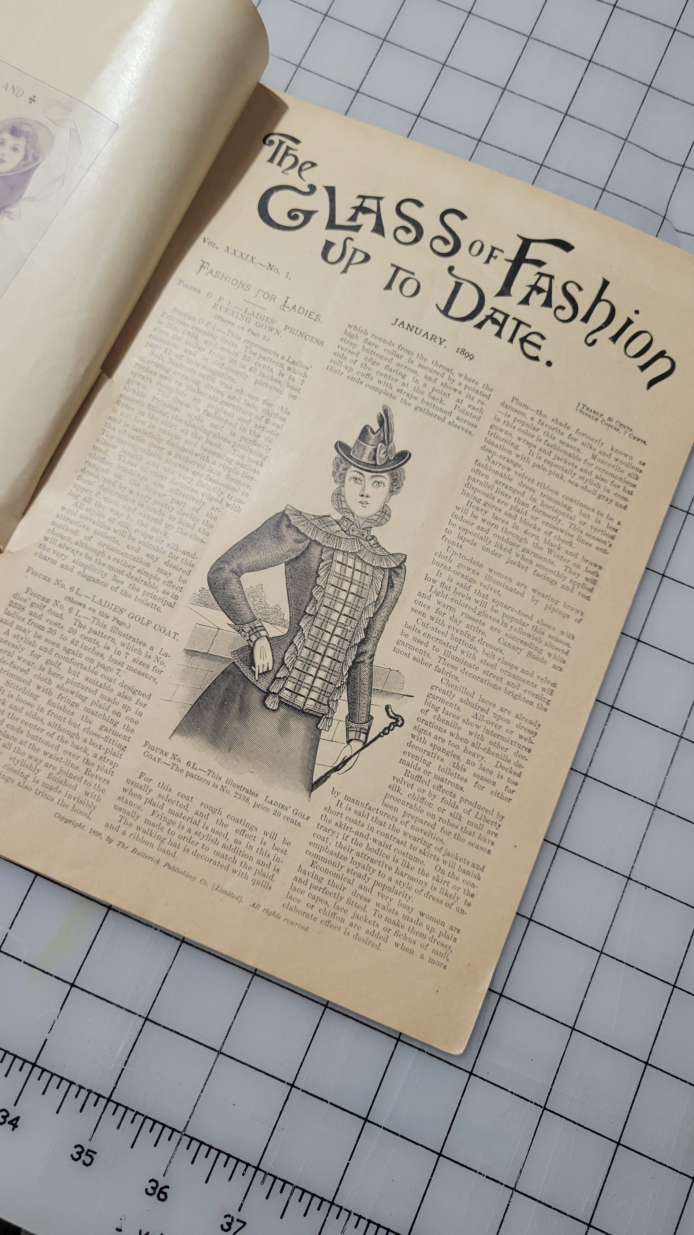The Glass of Fashion, 1899 January, Butterick Publishing Co. Ltd., Vol 39 No 1