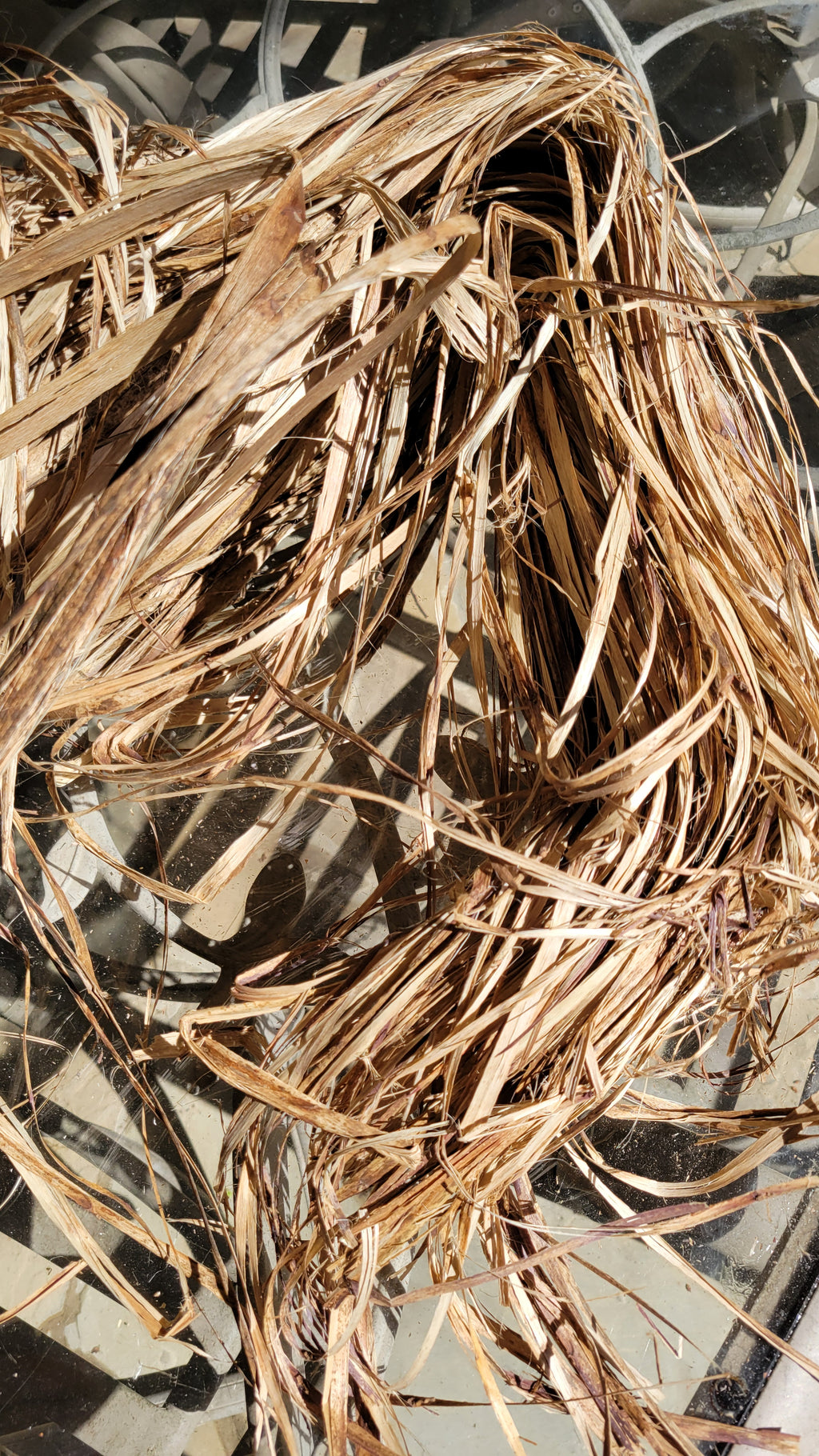 Okra Fiber Bundle. Natural Un-Combed Fiber. (Abelmoschus esculentus)