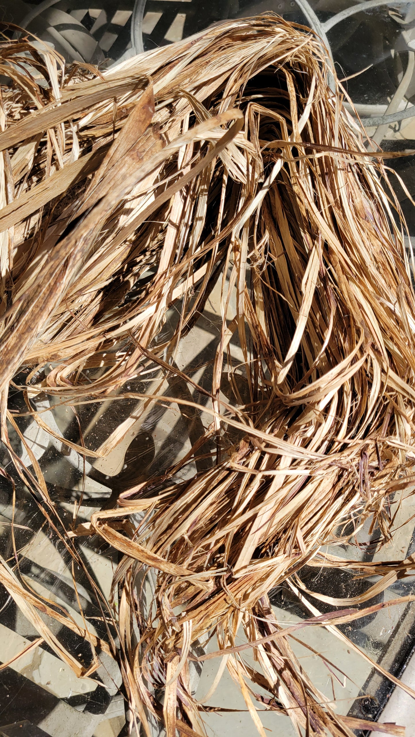 Okra Fiber Bundle. Natural Un-Combed Fiber. (Abelmoschus esculentus)