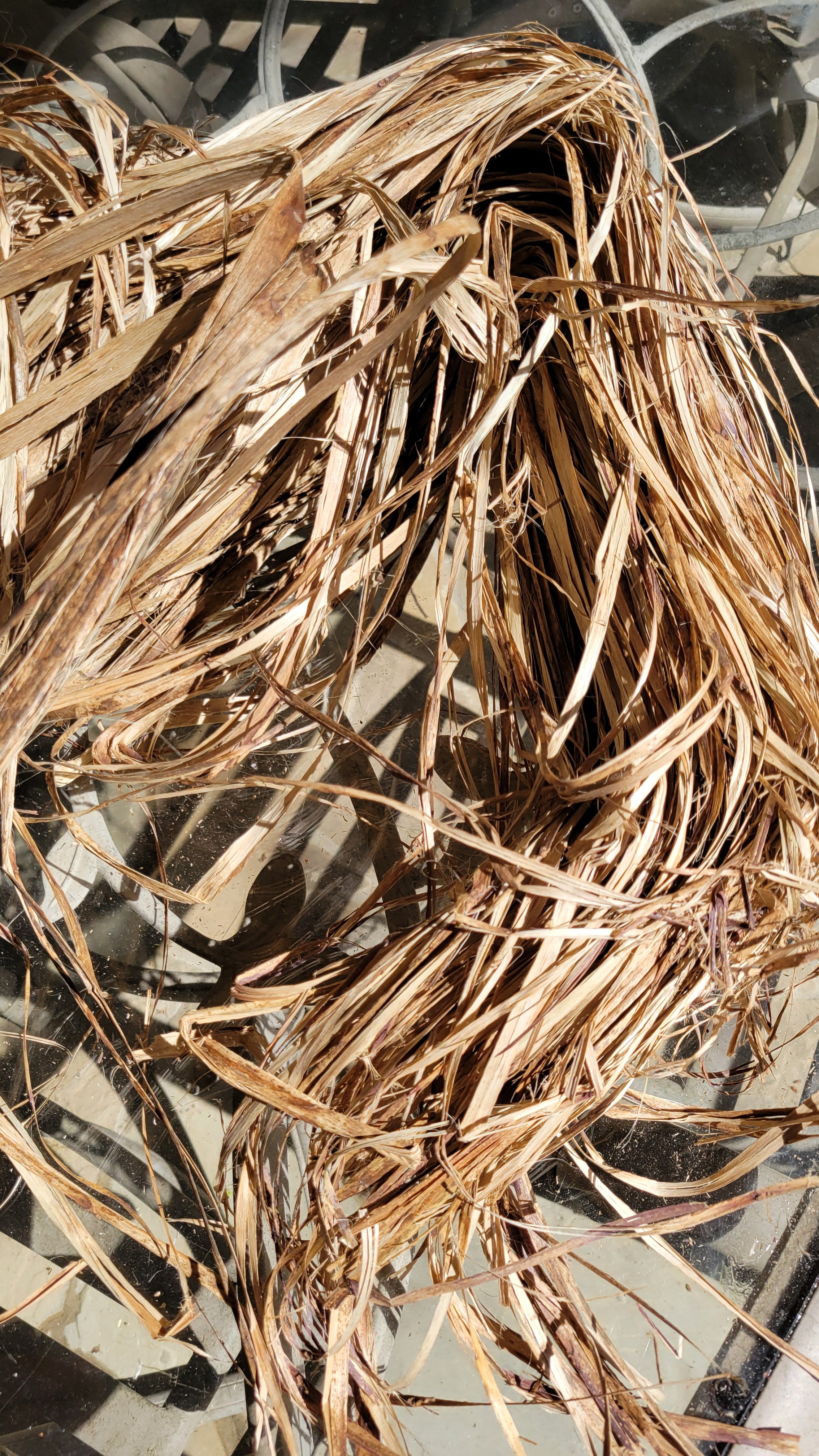 Okra Fiber Bundle. Natural Un-Combed Fiber. (Abelmoschus esculentus)