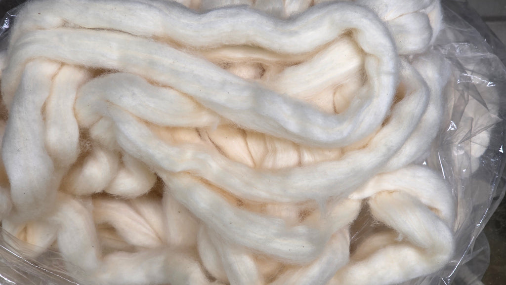Organic Cotton Easy Spin Sliver, USA Grown Upland Variety