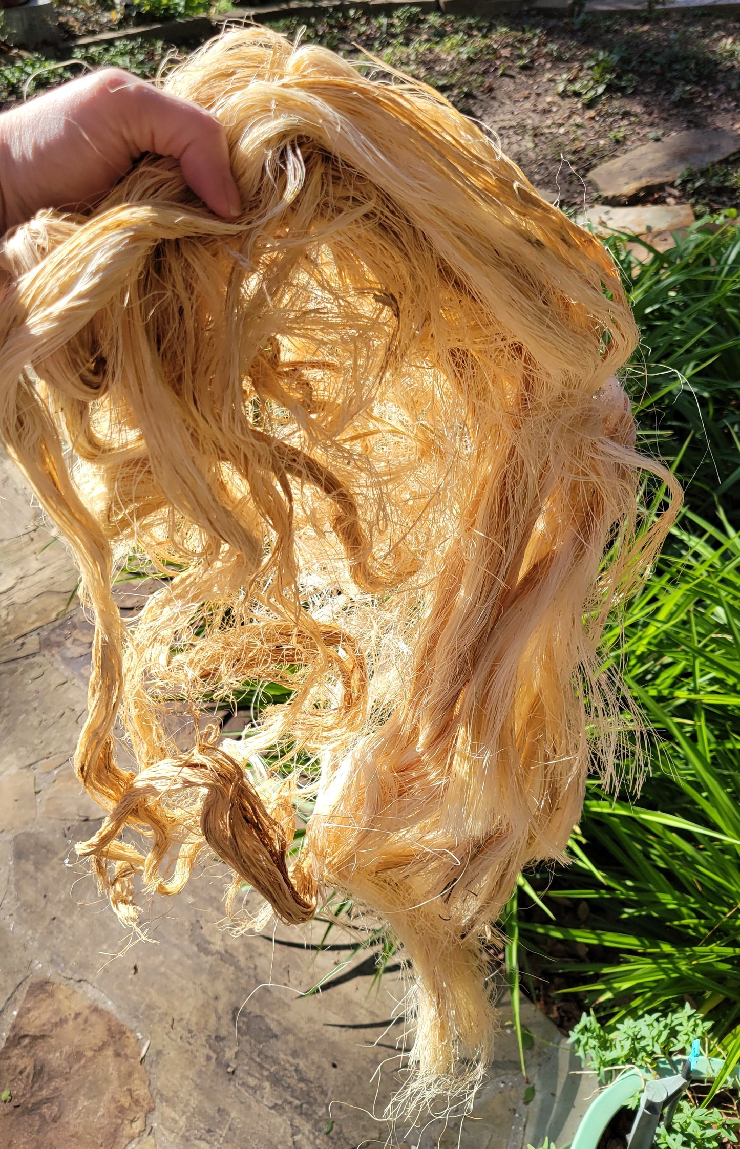 Sisal Long Fiber Bundle. Natural Un-Combed Fiber.