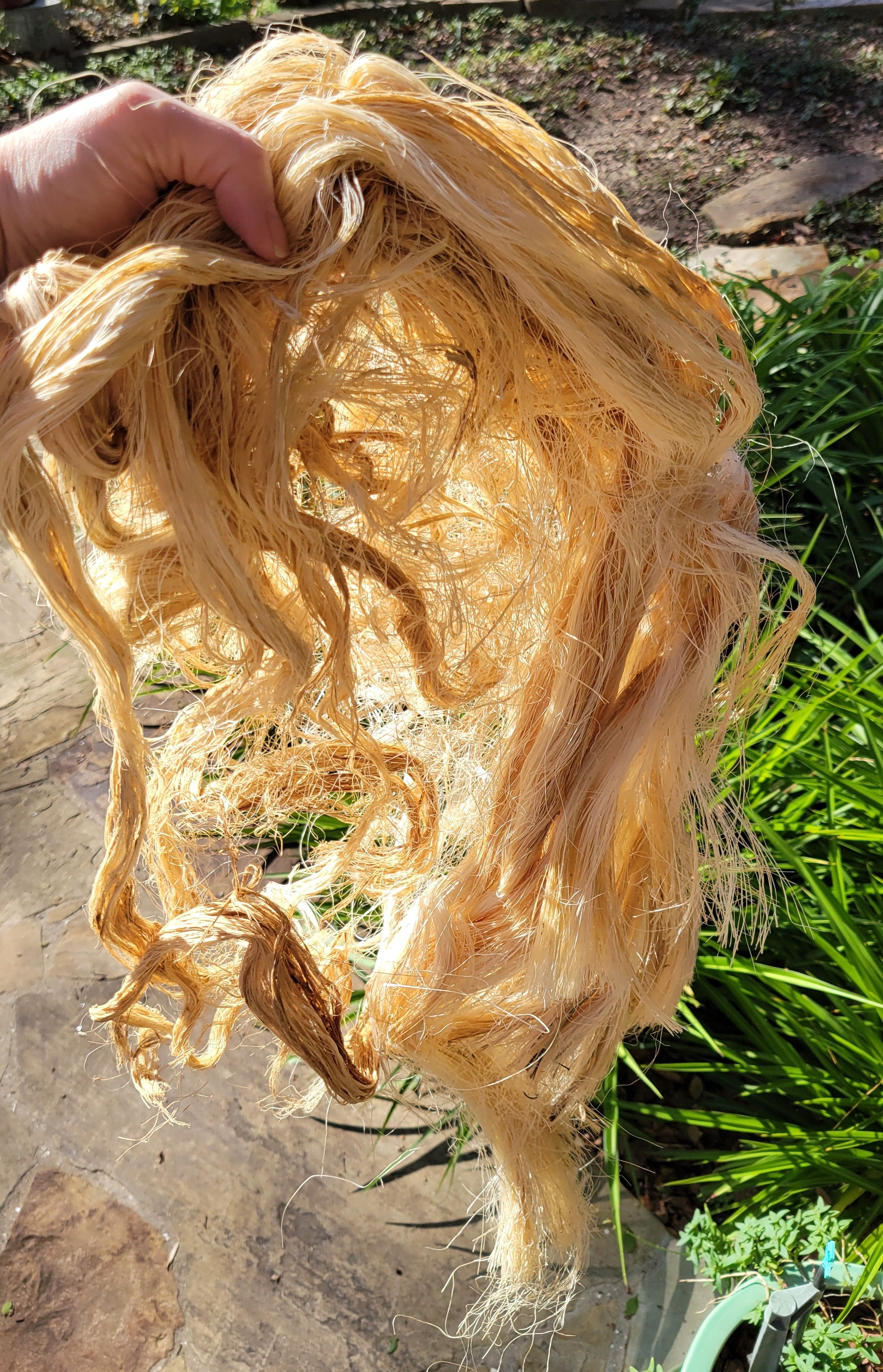 Sisal Long Fiber Bundle. Natural Un-Combed Fiber.