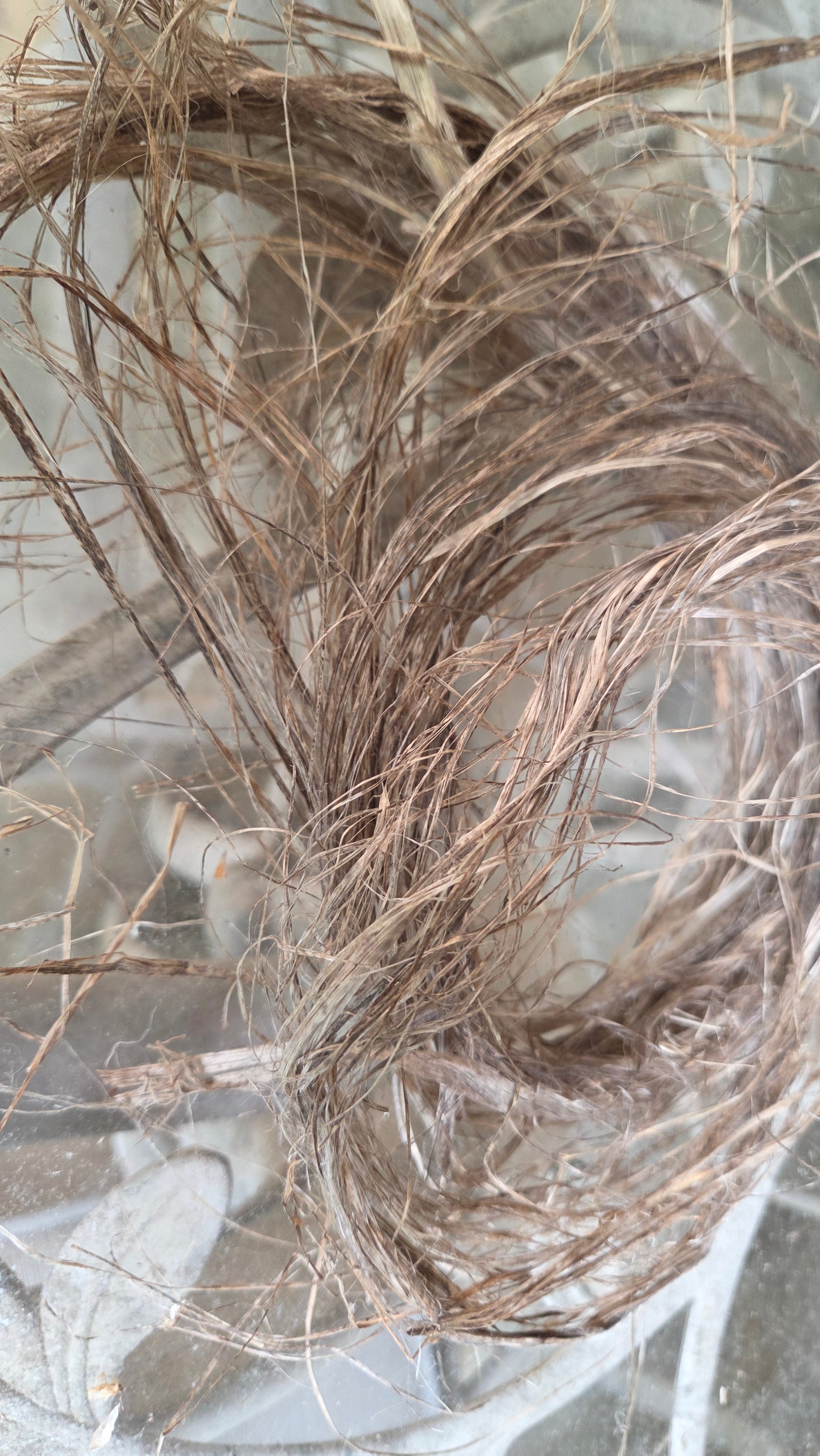 Hemp USA Grown - 3 Years Field Retted, Long Line Fiber Bundle - 1 Pound Bundle