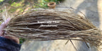 Sugarcane (Stalk) Fiber. Un-Combed. Raw Unfinished Bundles