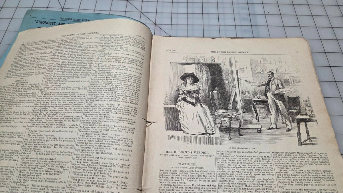 Young Ladies Journal Magazine 1895 July Fashion Illustrated Patterns American