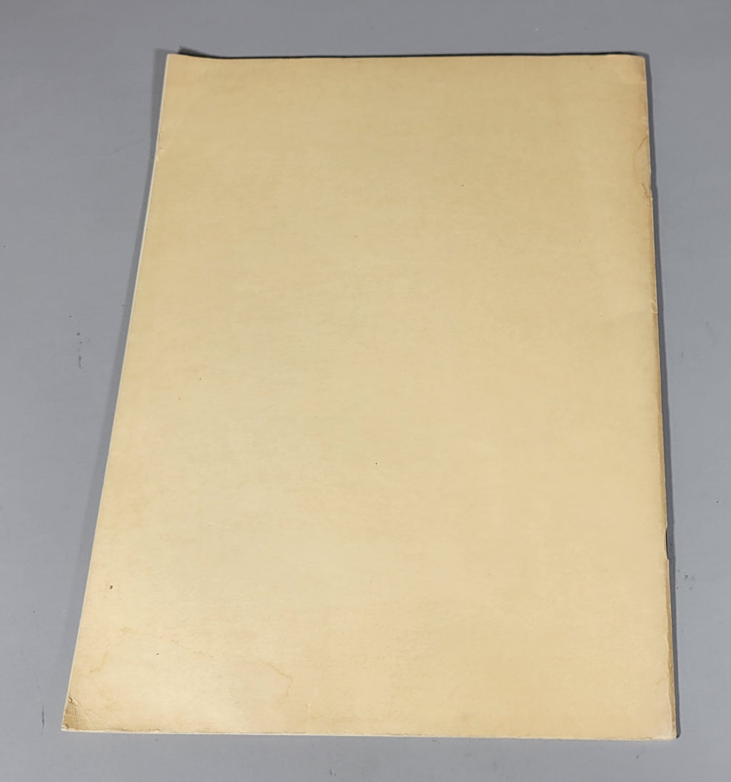 Dress Decoration Ornament 417 Original Woman's Institute Sewing Book 1920s