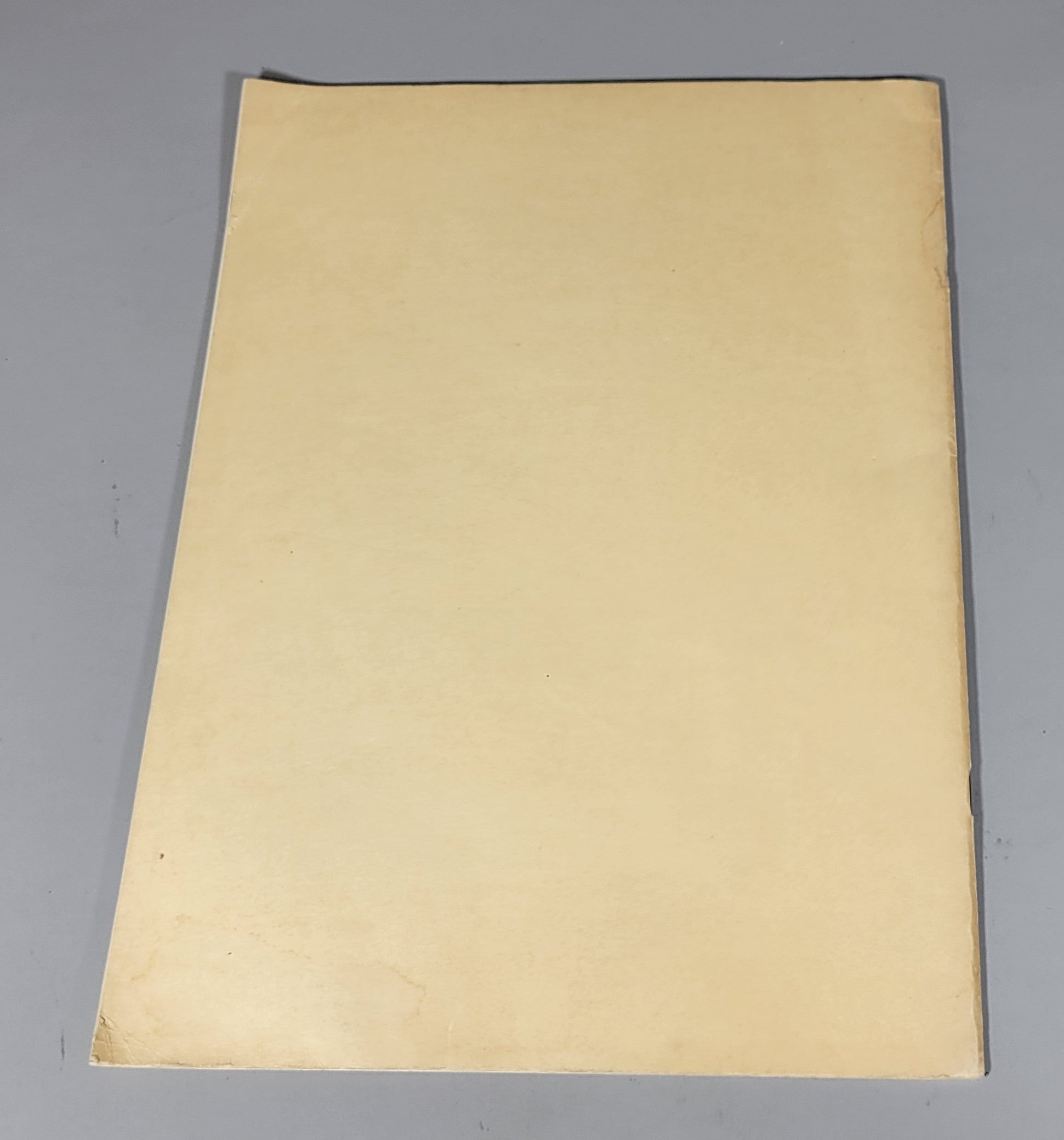 Dress Decoration Ornament 417 Original Woman's Institute Sewing Book 1920s