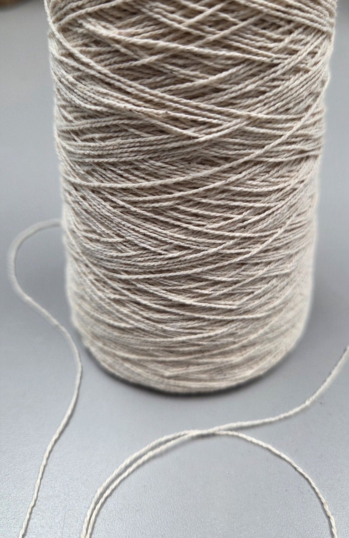 Snake Plant + Cotton Yarn. 250 Yards. 40/2 - Ply. Natural.