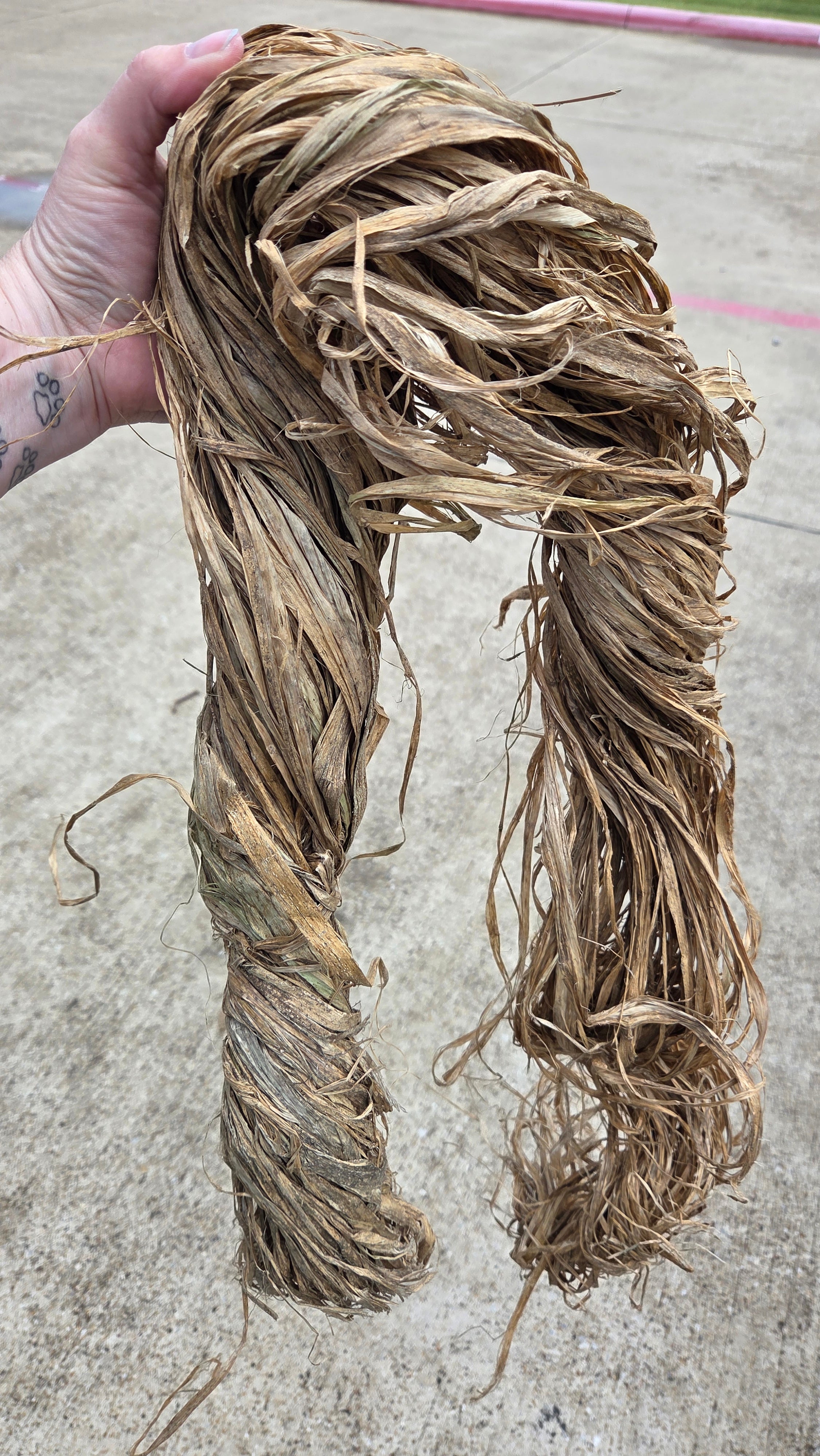 Sunn Hemp Fiber. Natural Raw Un-Combed Textile Bundles.