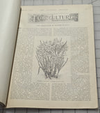Standard Designer Feb 1897 Fashion Company NY Dress Ladies Booklet Catalog