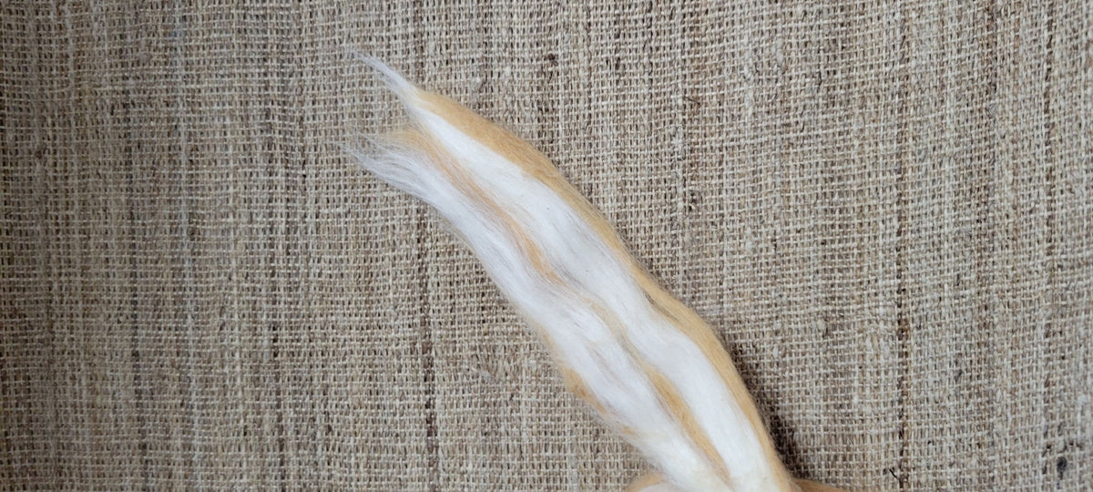 Brown + White Cotton Fiber Sliver, Combed, Natural USA Grown Color - 1 ounce