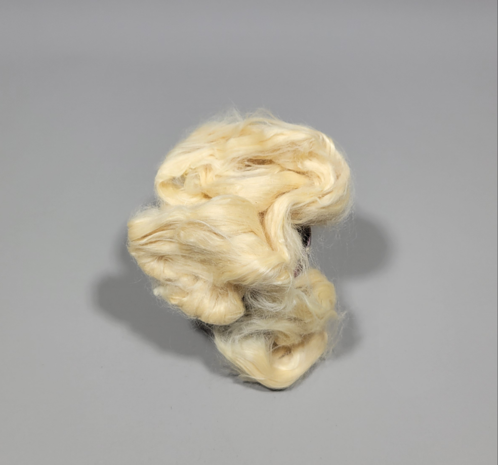 Soybean Fiber (RCFs). 1 ounce. Combed Sliver.
