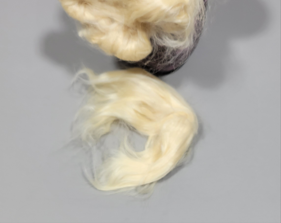 Soybean Fiber (RCFs). 1 ounce. Combed Sliver.