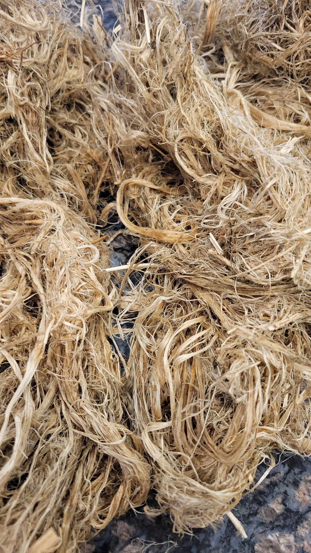 Hemp Fiber Raw UnCombed. USA Grown. 2 oz. 11 Days Retted.