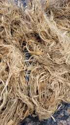 Hemp Fiber Raw UnCombed. USA Grown. 2 oz. 11 Days Retted.
