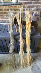 Hemp Stalk Bundle. Un-Retted. Cut Green and Dried. USA Grown.