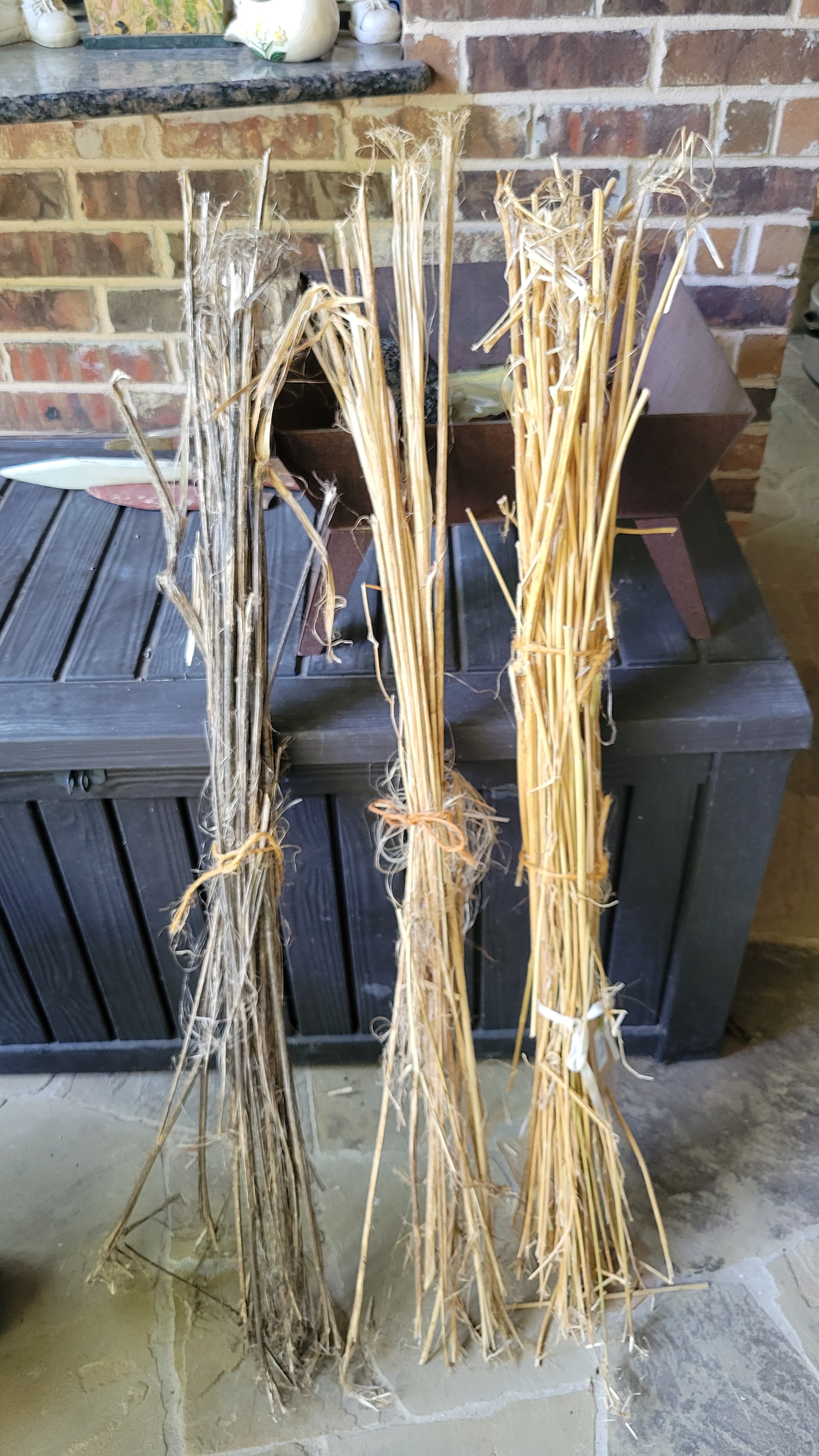 Hemp Stalk Bundle. Un-Retted. Cut Green and Dried. USA Grown.