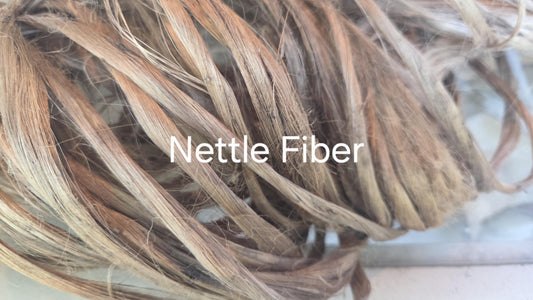 Nettle Long Fiber Bundle. Natural Semi-Combed Fiber. Raw.