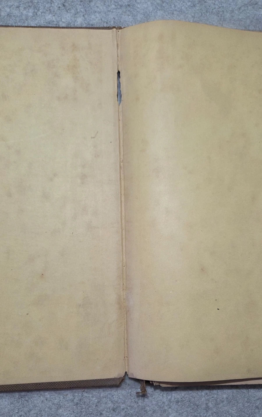 1855 Frank Leslie's Portfolio Fancy Needlework Ed. Mrs. Stephens Lace Chart Art