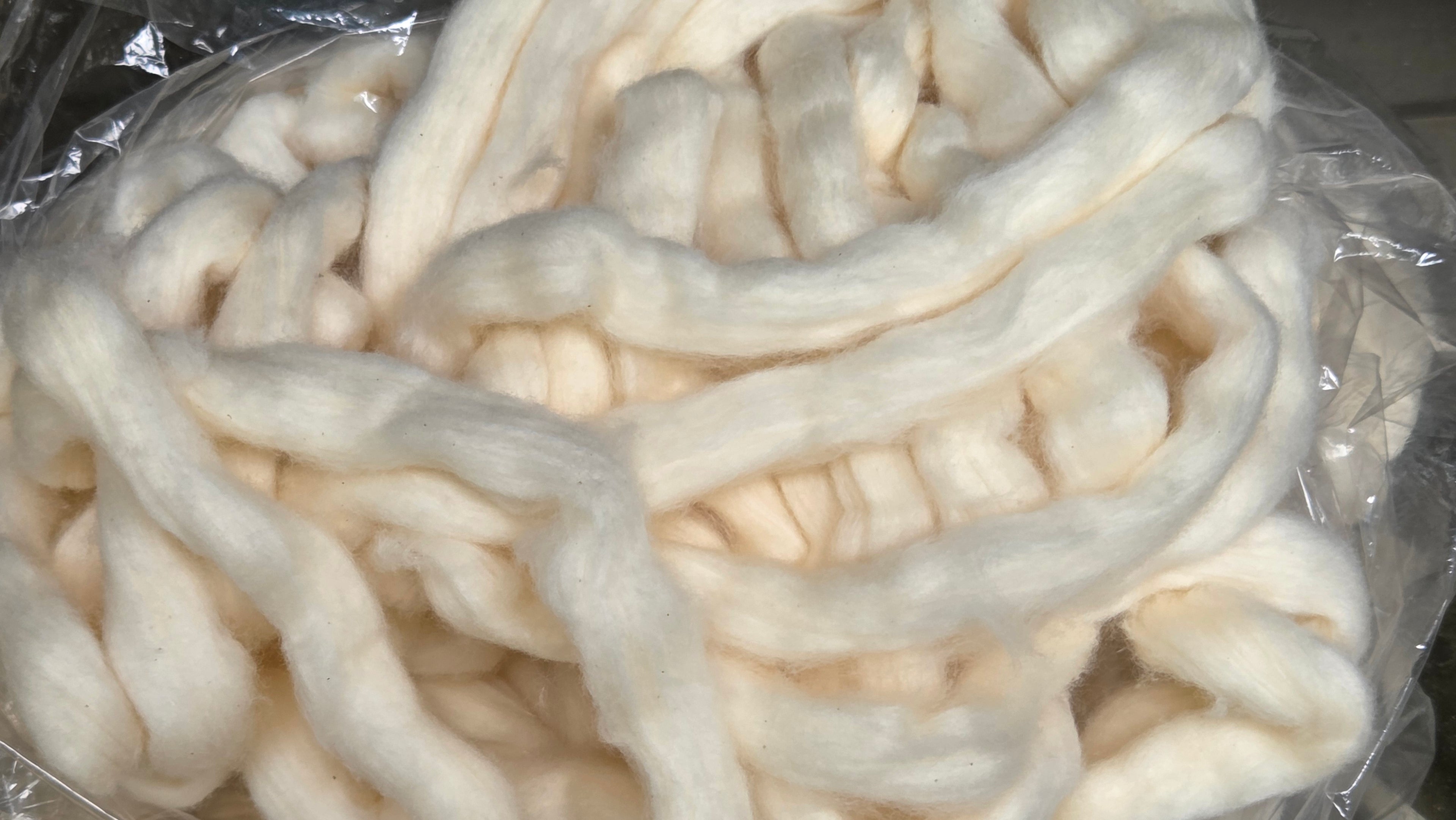 Organic Cotton Easy Spin Sliver, USA Grown Upland Variety