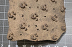Vintage Wood Blocks Ink Stamping Hand carved (large block) Paw Print