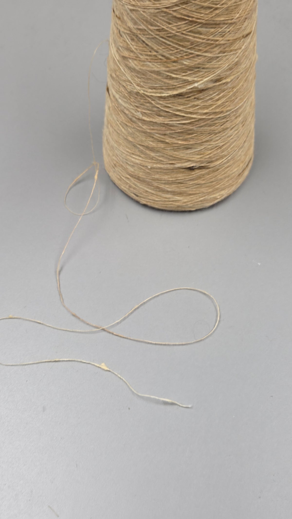 Ginger Root Plant + Cotton Yarn. 250 Yards. 40/1 - Single. Natural.
