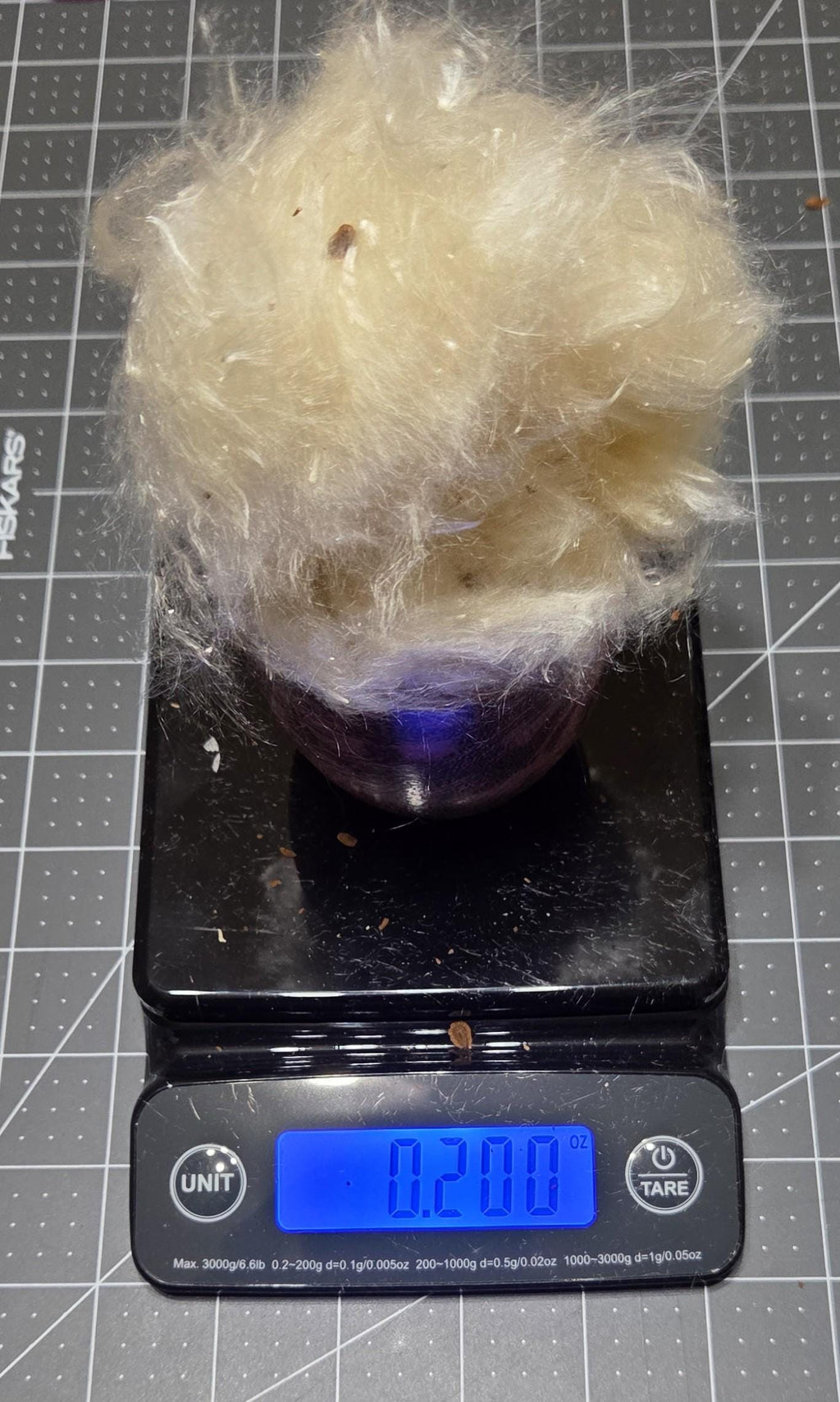 Milkweed Floss Fiber. Un-Combed. USA Wild-Harvested. 0.2 ounce.