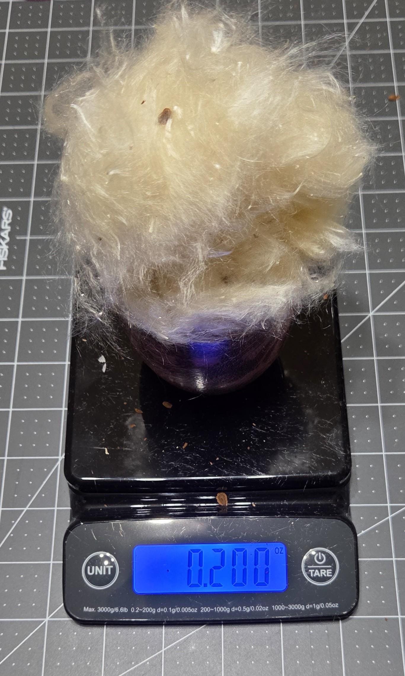 Milkweed Floss Fiber. Un-Combed. USA Wild-Harvested. 0.2 ounce.