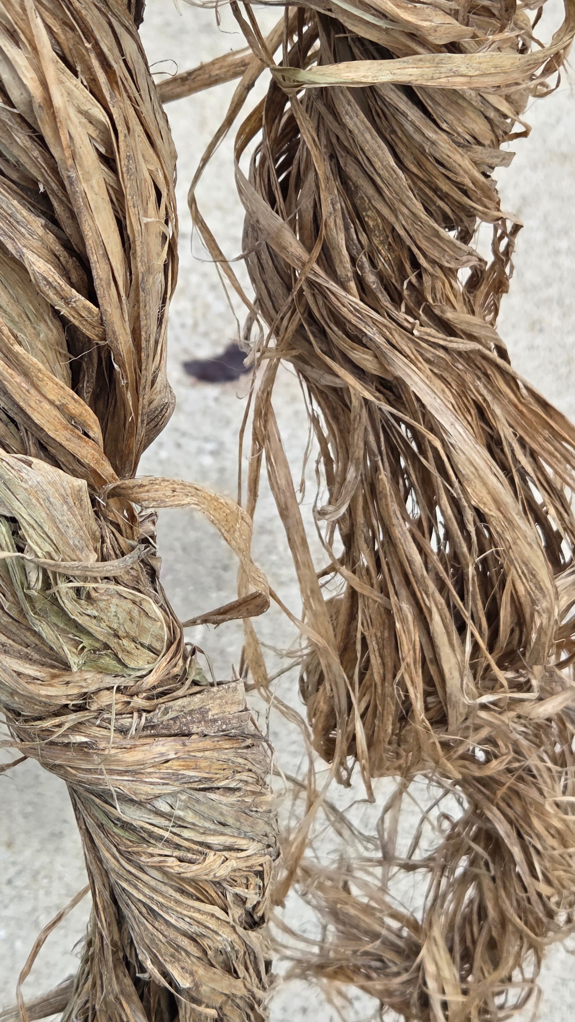 Sunn Hemp Fiber. Natural Raw Un-Combed Textile Bundles.