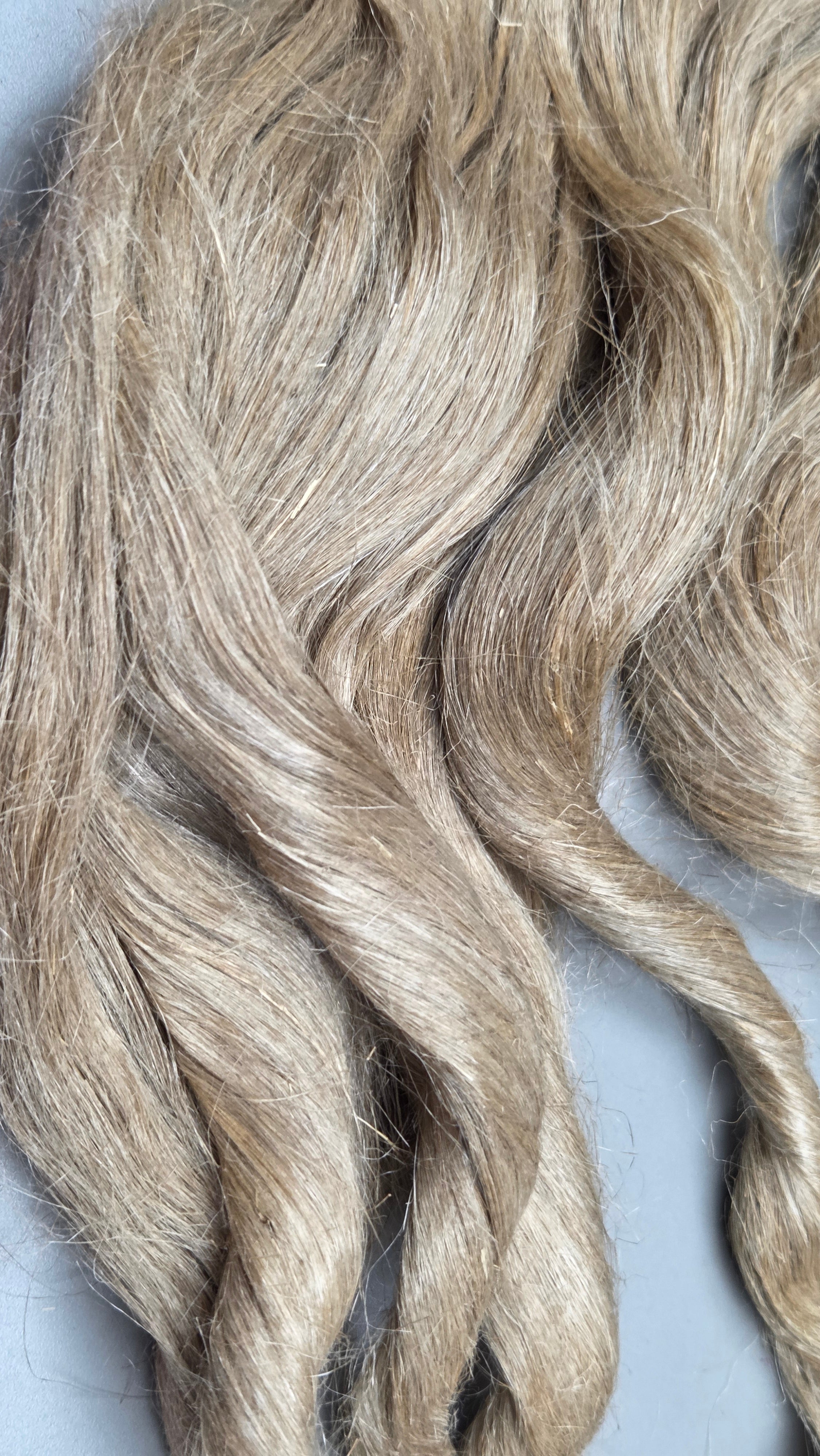 Antique Flax Strick from 1900s. Fine Natural Bast Fiber. 3 oz.