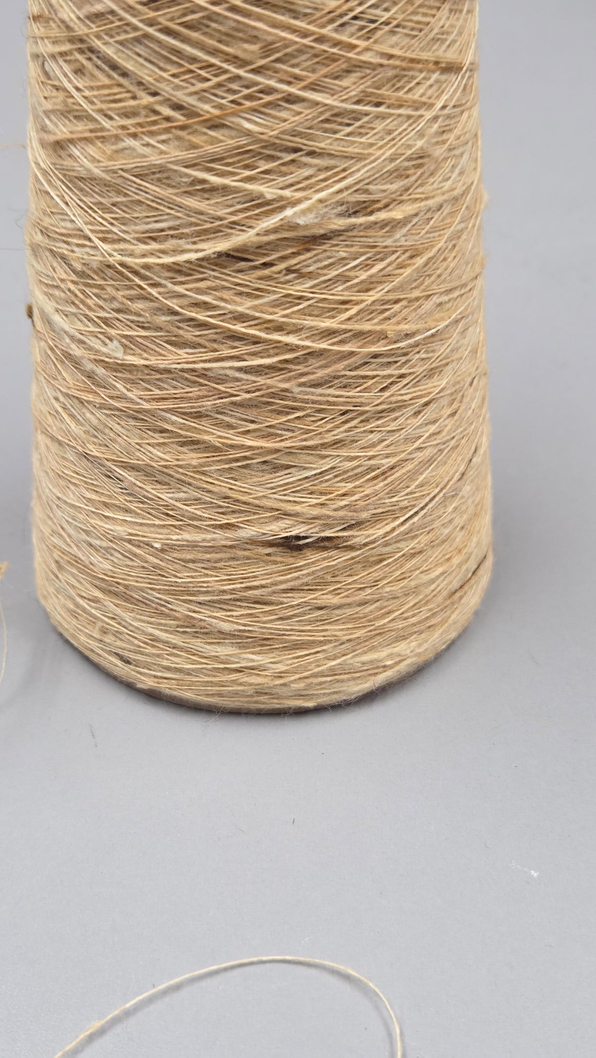Ginger Root Plant + Cotton Yarn. 250 Yards. 40/1 - Single. Natural.