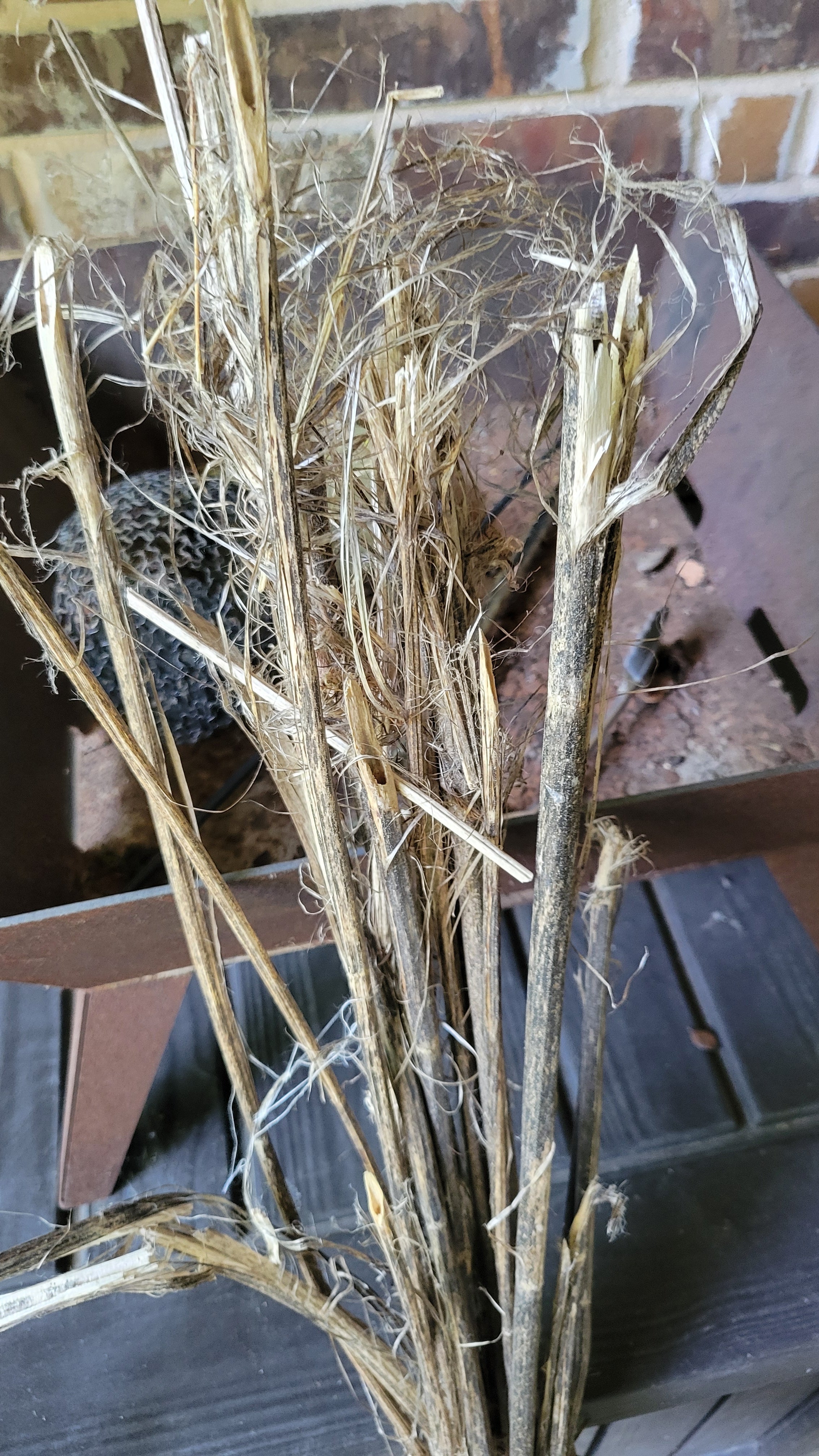 Hemp Stalk Bundle. Field Dew Retted. USA Grown.