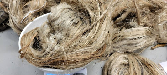 Seaweed / Macro Algae Long Fiber Bundle. 100% Natural Fiber.