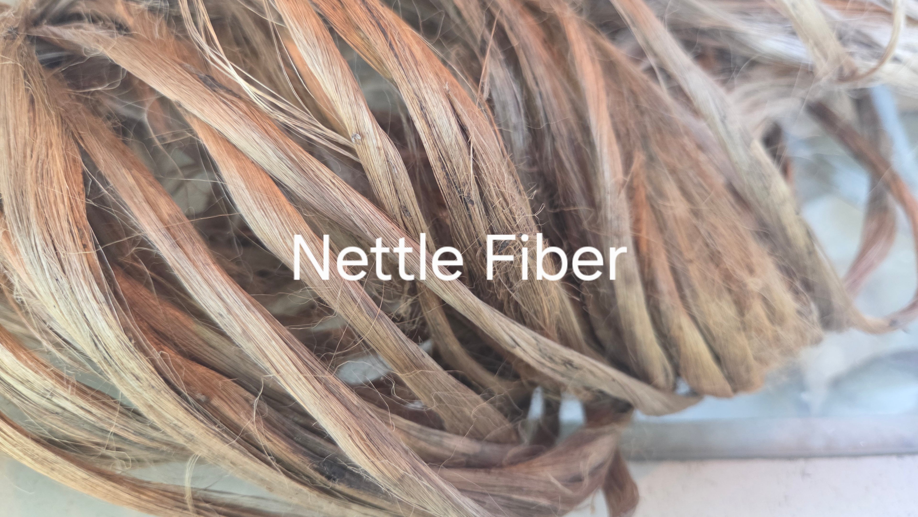 Nettle Long Fiber Bundle. Natural Semi-Combed Fiber. Raw.