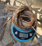 Sugarcane (Stalk) Fiber. Un-Combed. Raw Unfinished Bundles