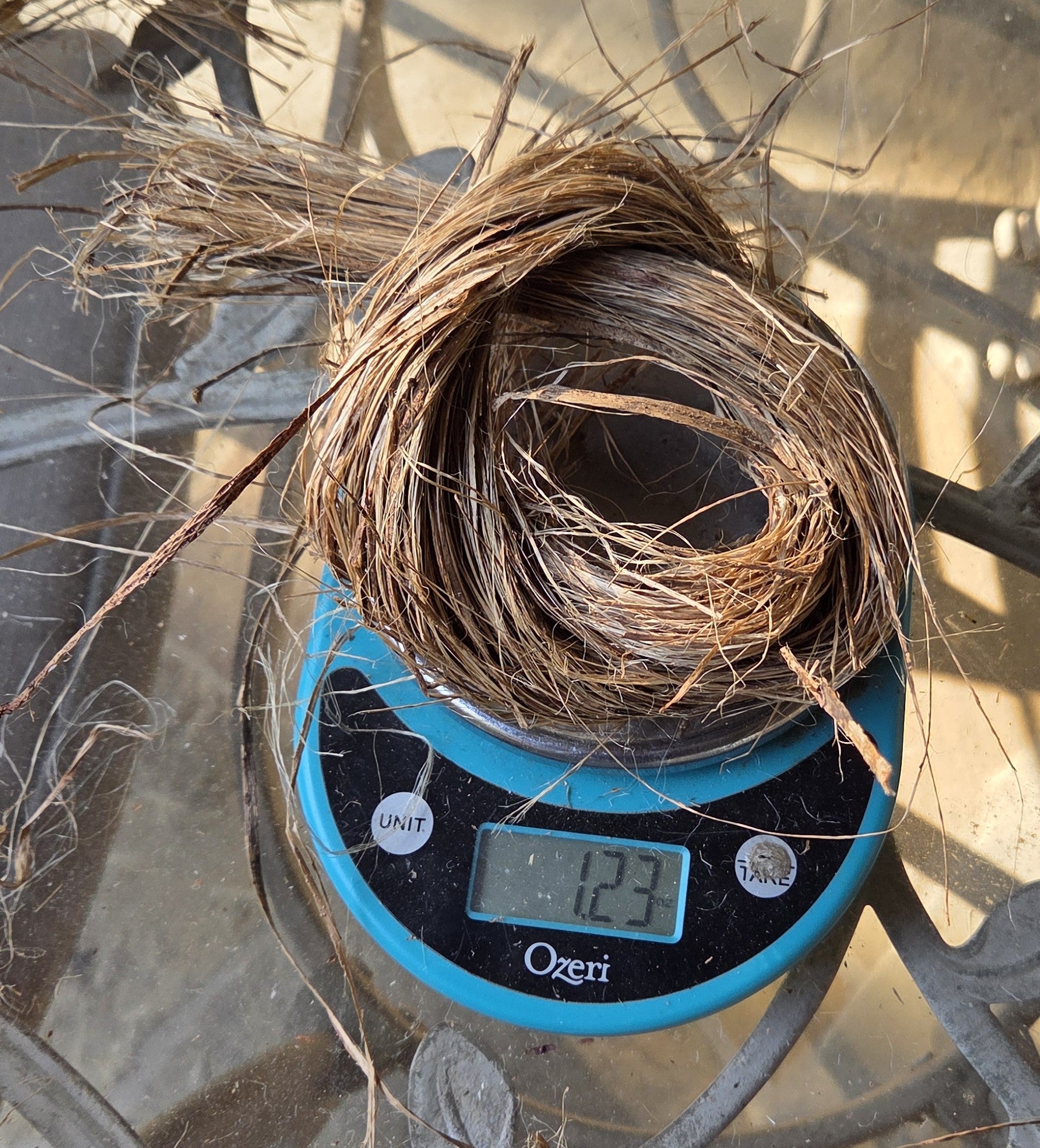 Sugarcane (Stalk) Fiber. Un-Combed. Raw Unfinished Bundles