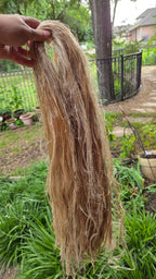 Fireweed Fiber Bundle. Natural Semi-Combed Fiber. Raw. (Chamerion angustifolium)
