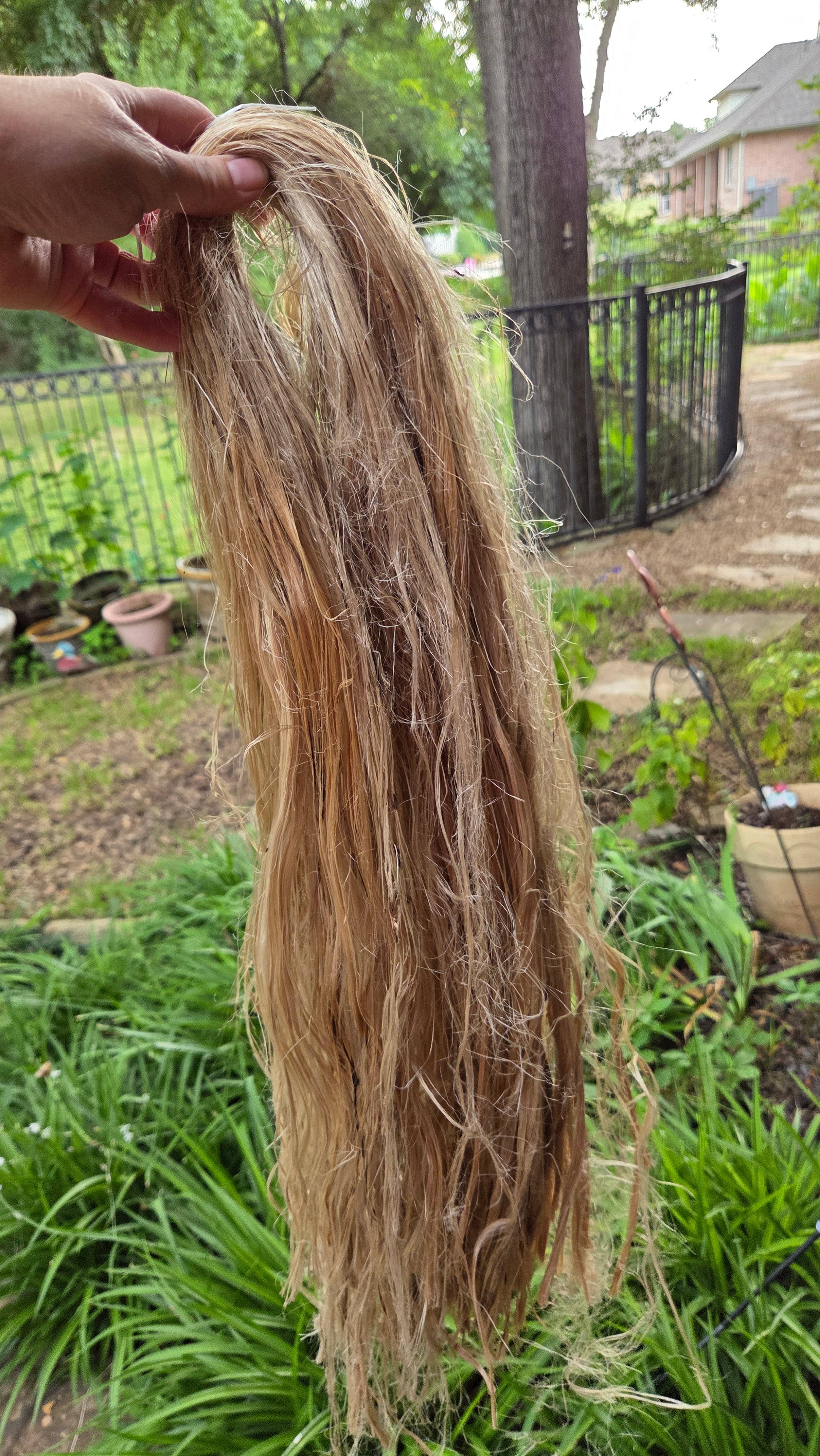 Fireweed Fiber Bundle. Natural Semi-Combed Fiber. Raw. (Chamerion angustifolium)