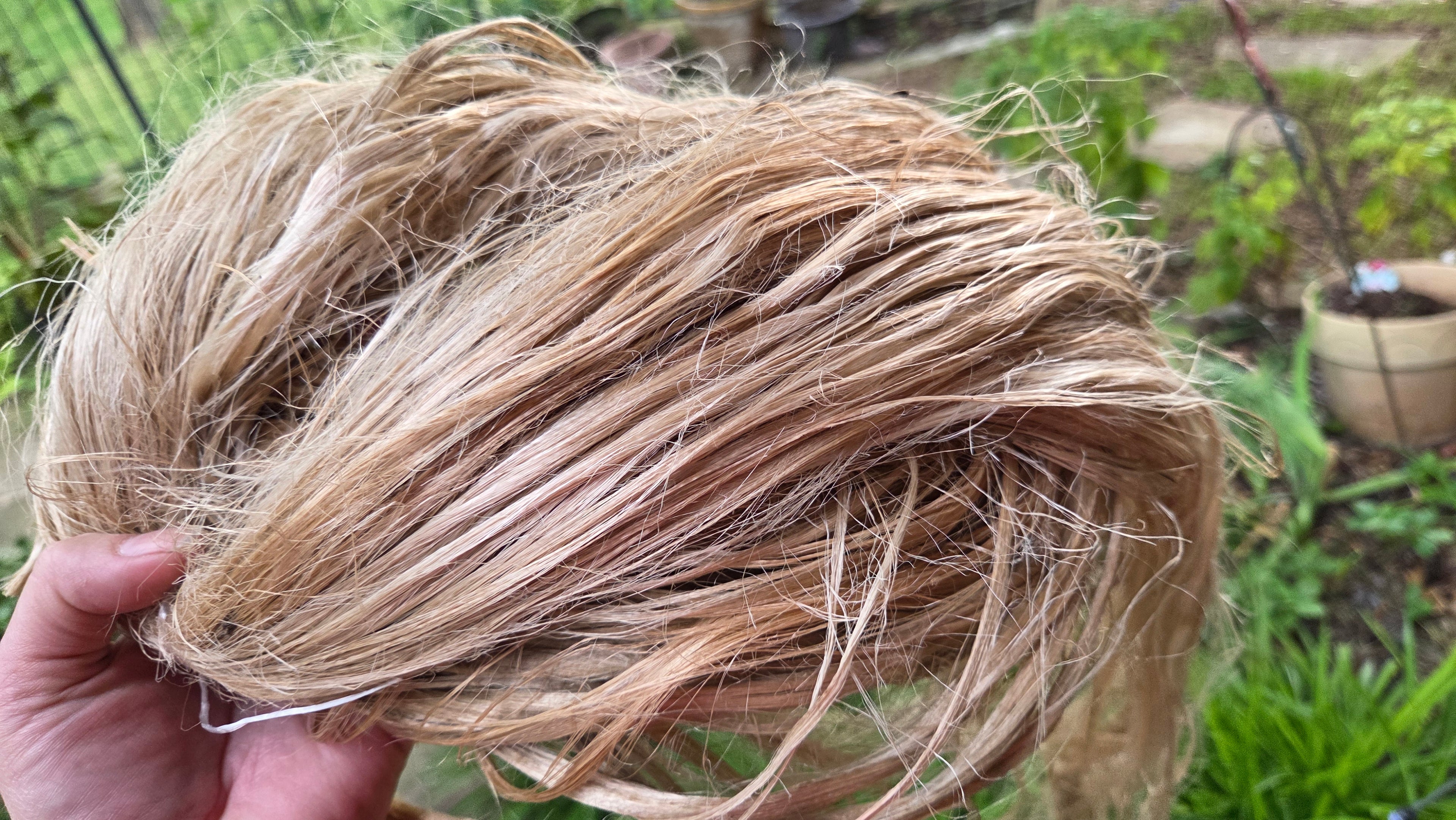 Fireweed Fiber Bundle. Natural Semi-Combed Fiber. Raw. (Chamerion angustifolium)