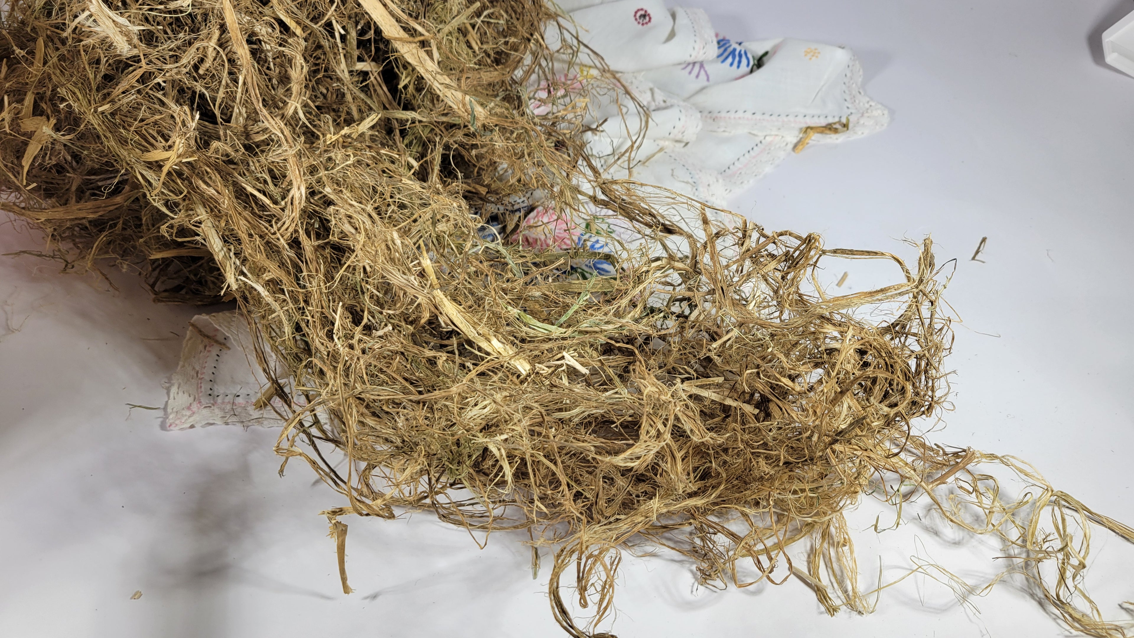 Hemp Fiber Raw UnCombed. USA Grown. 1/2 pound (8 oz). Green Decorticated. Unretted and with Hurd.