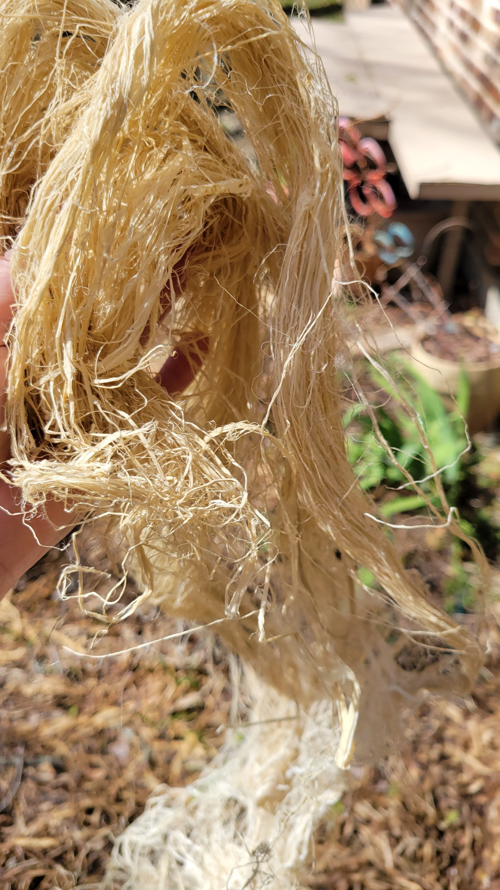 Unspun and Combed Raw Fiber (Abaca Uncombed Fiber)