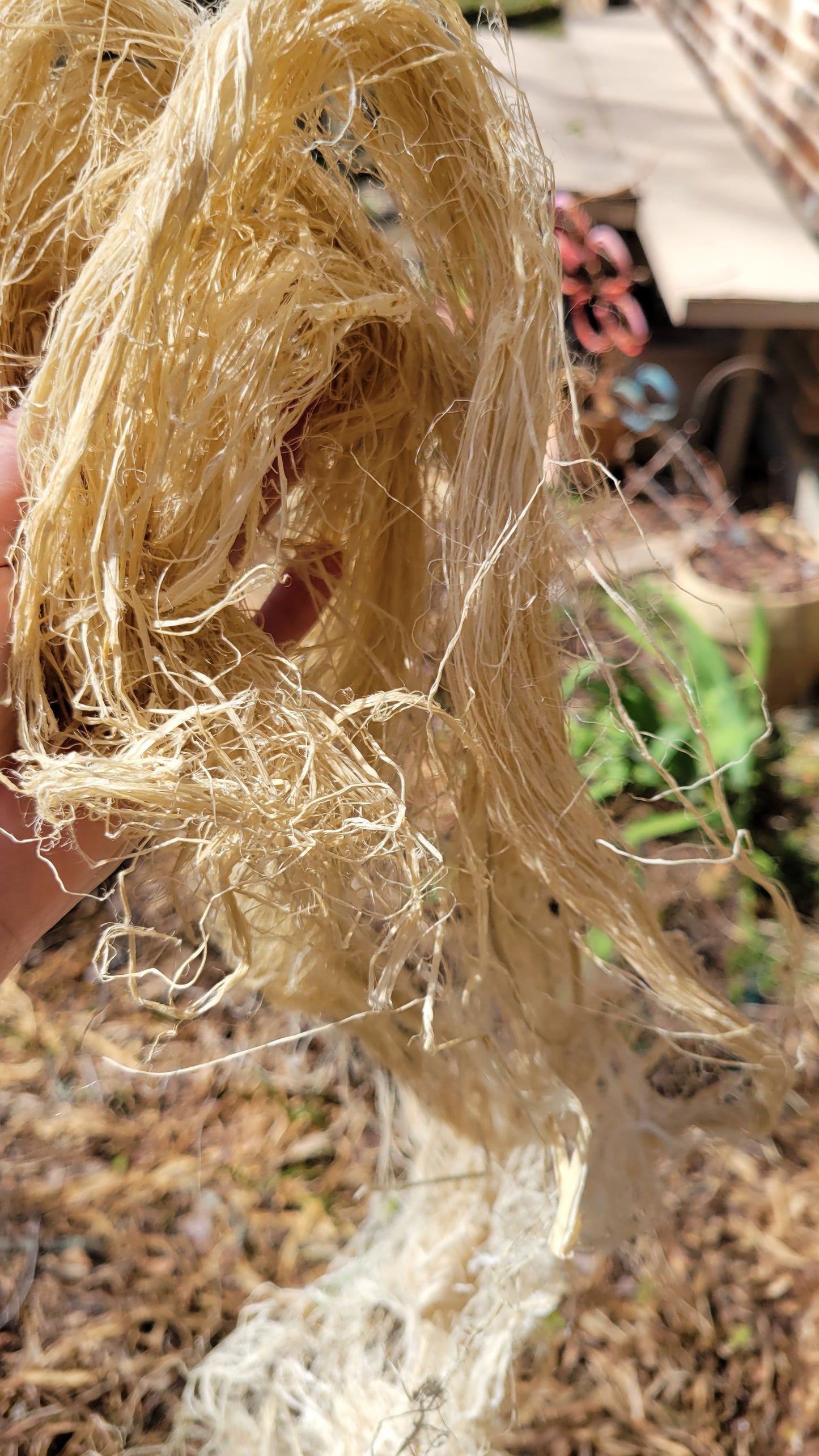 Unspun and Combed Raw Fiber (Abaca Uncombed Fiber)