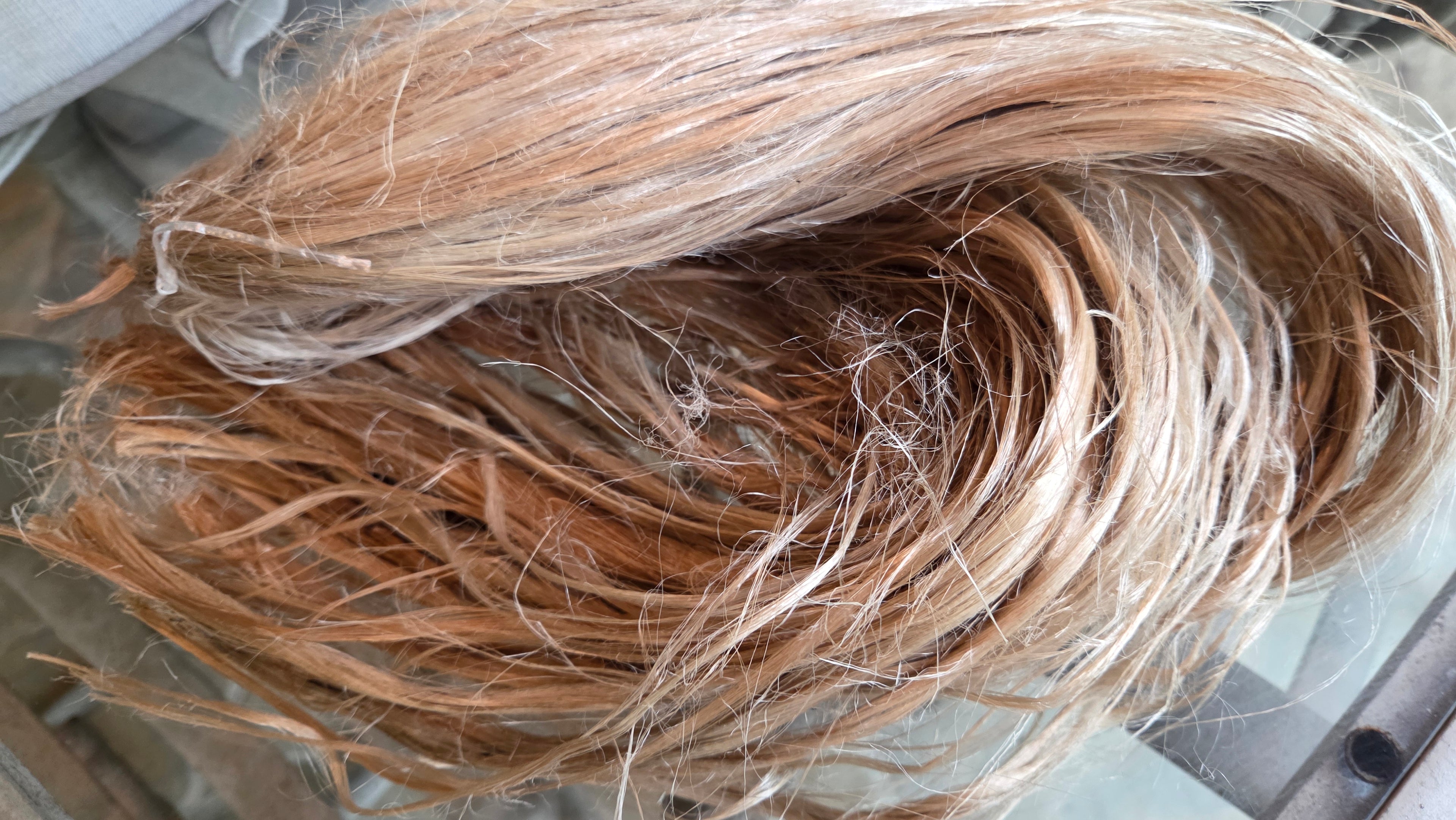 Fireweed Fiber Bundle. Natural Semi-Combed Fiber. Raw. (Chamerion angustifolium)