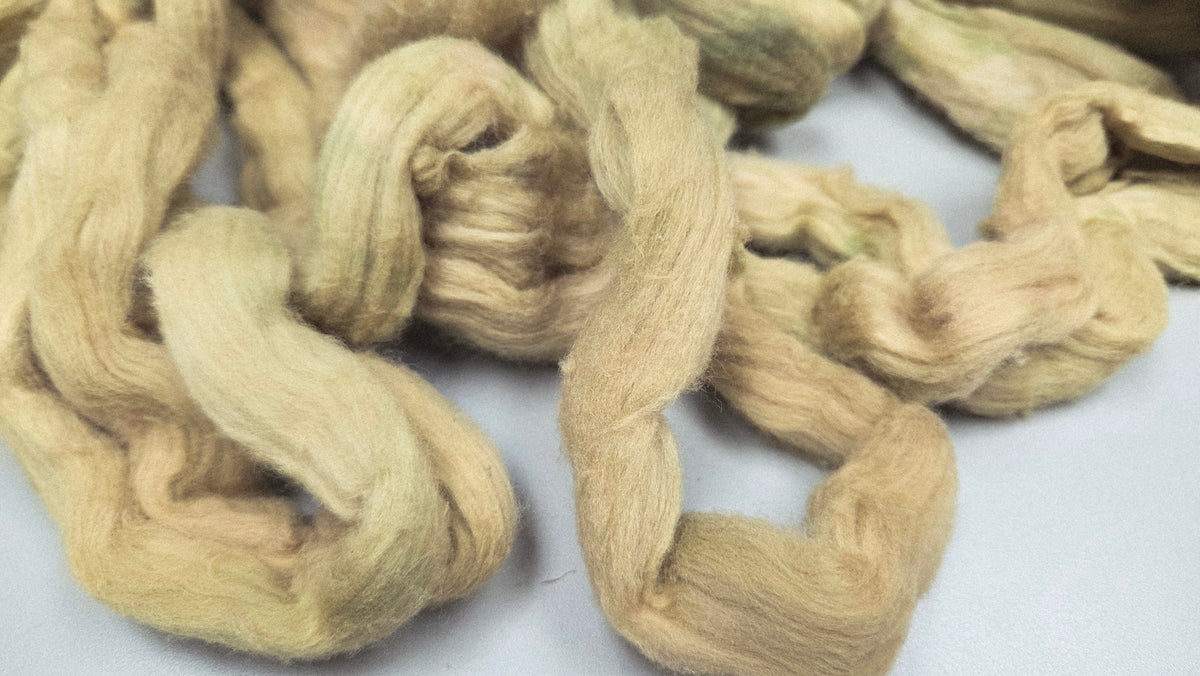 Cotton, 1/2 oz (0.5 ounce) Dyed Conventional Cotton Sliver, Small Batch Studio Dyed (Khaki L)