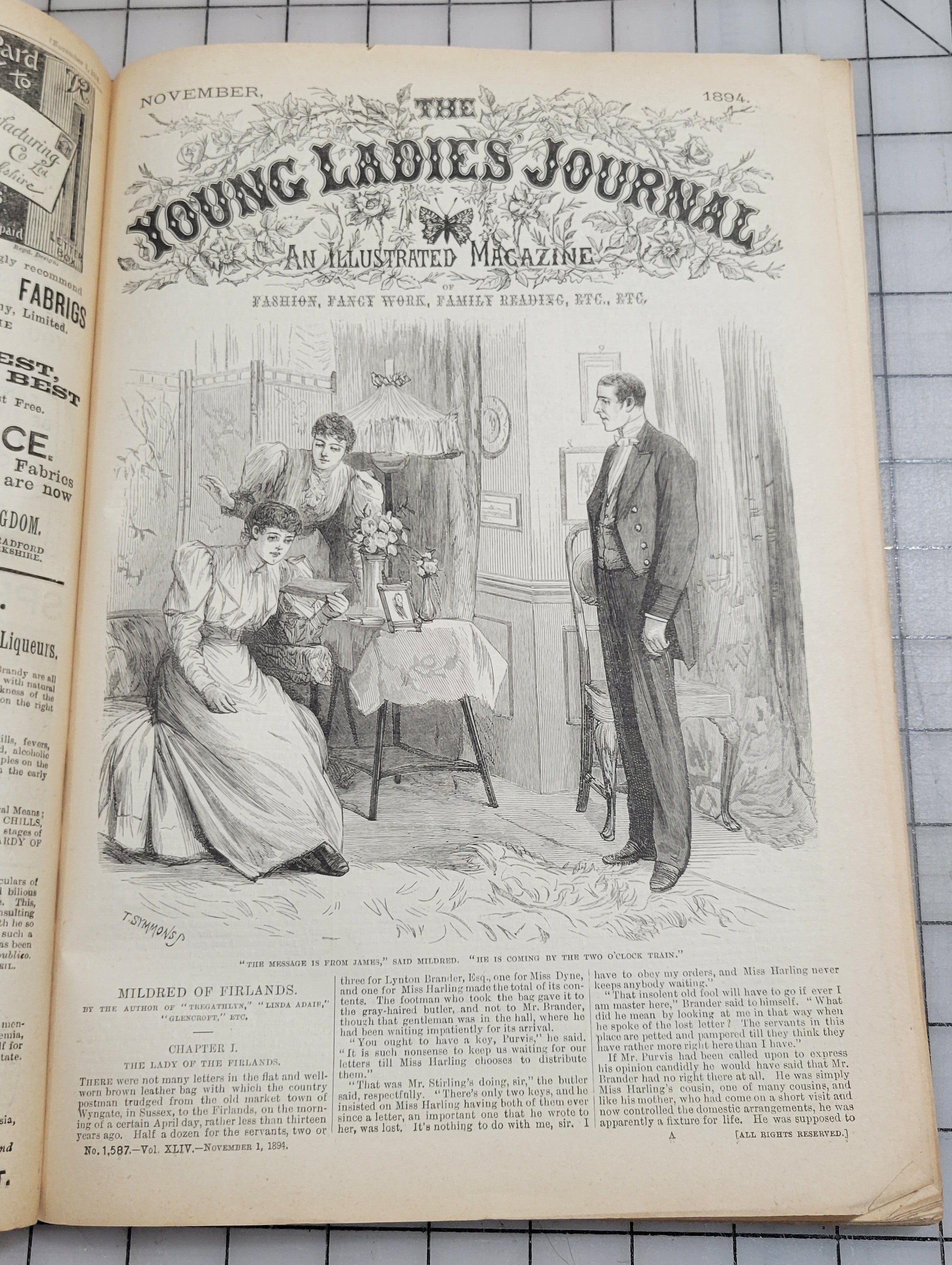 Young Ladies Journal 1894 Nov Antique Catalog Illustrated Fashion Victorian