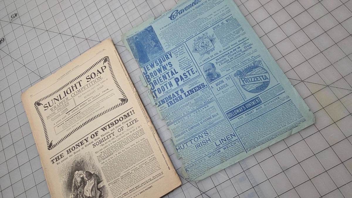 Young Ladies Journal Magazine 1895 Sept Fashion Illustrated Patterns American Ed