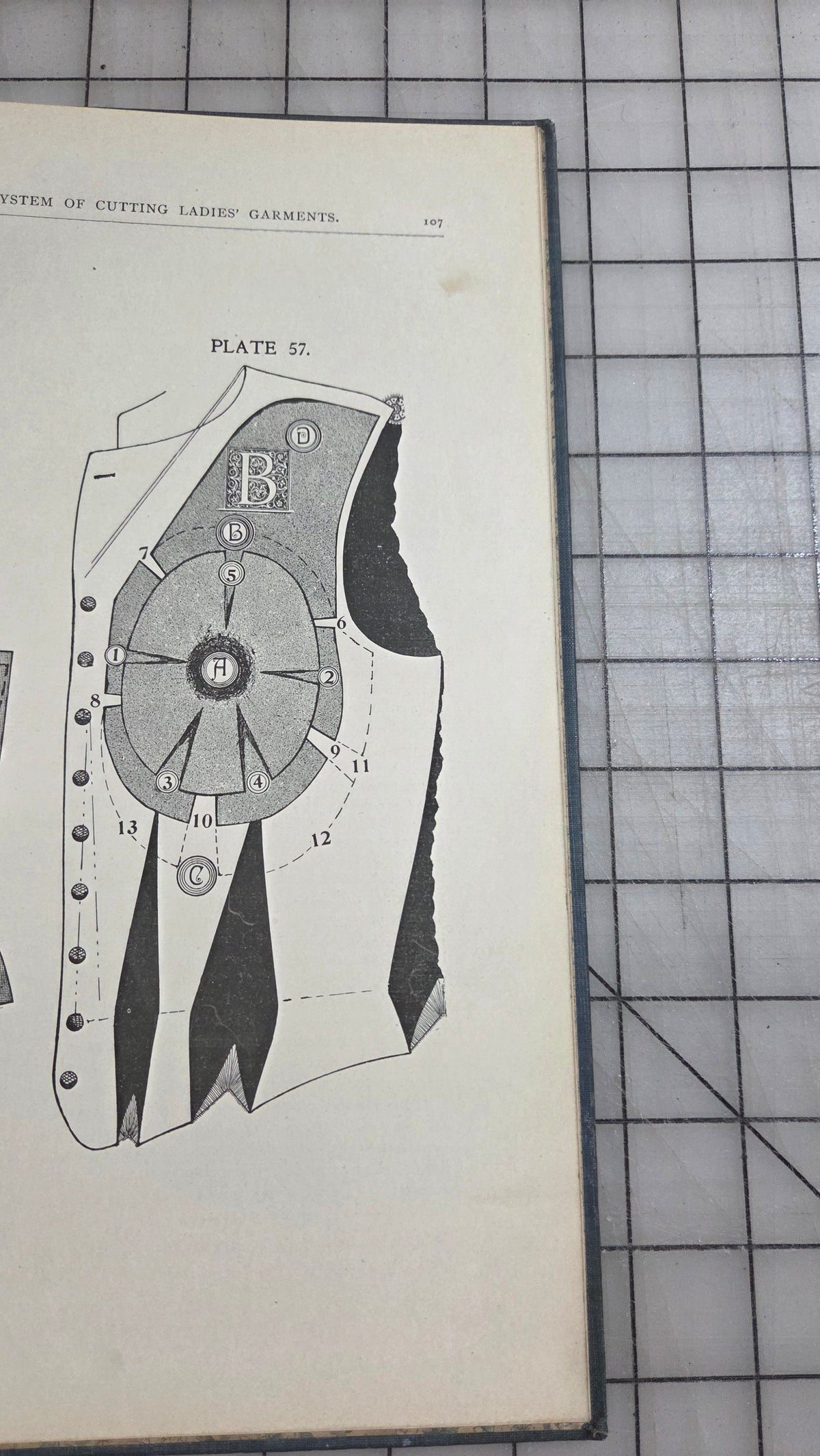 1901 New Superlative System Cutting Ladies' Garments Chas J. Stone School