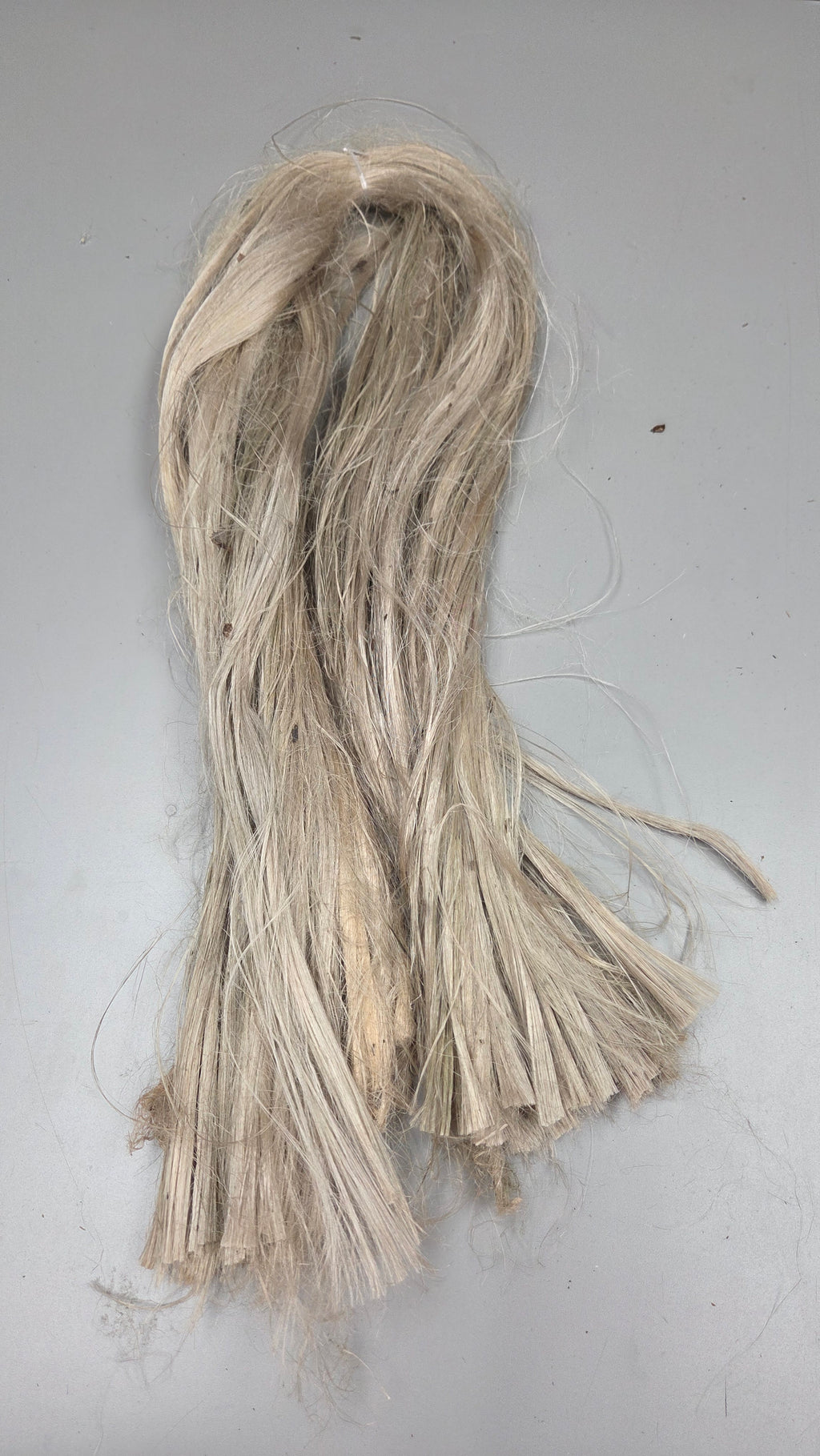 Algae Brown Seaweed Fiber Bundle. (Sargassum). Semi-Combed, Natural Fiber. Sold by Weight.