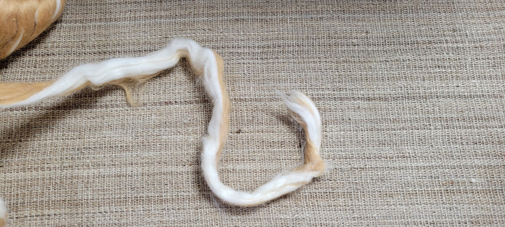 Brown + White Cotton Fiber Sliver, Combed, Natural USA Grown Color - 1 ounce